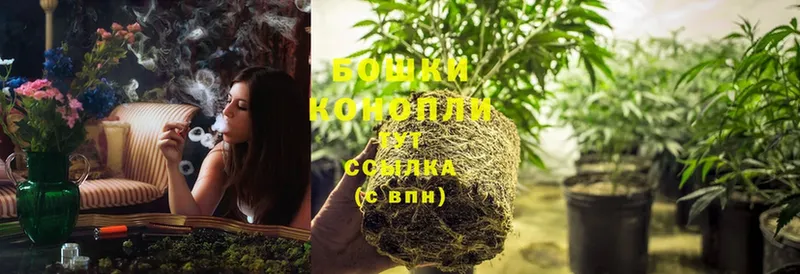 Бошки Шишки THC 21%  Бобров 